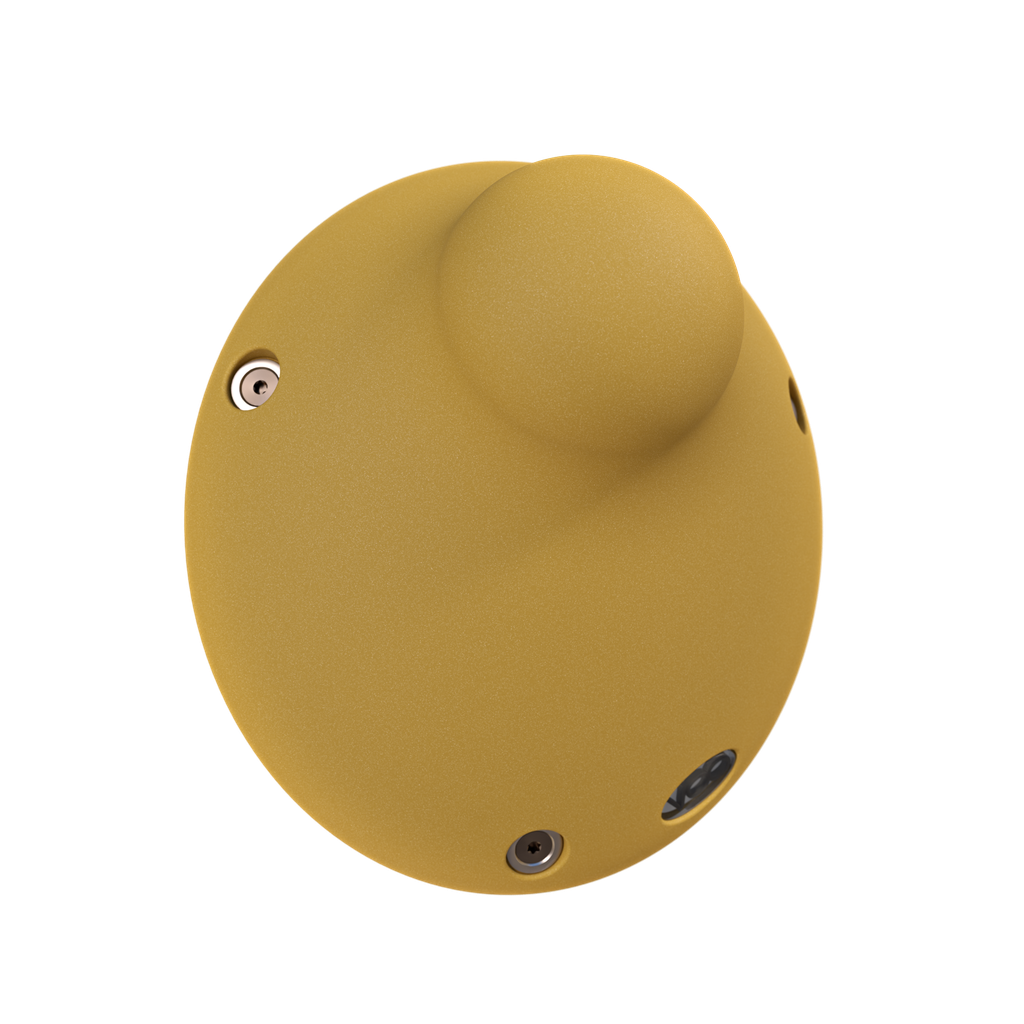 Endron_200_yellow.webp