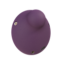 Endron_200_violet.webp
