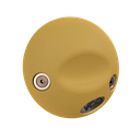 Gar_100_yellow.webp