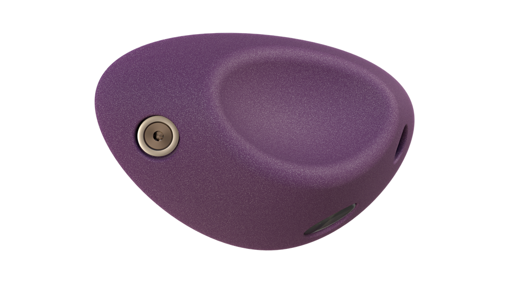 LaRhune_150_violet.webp