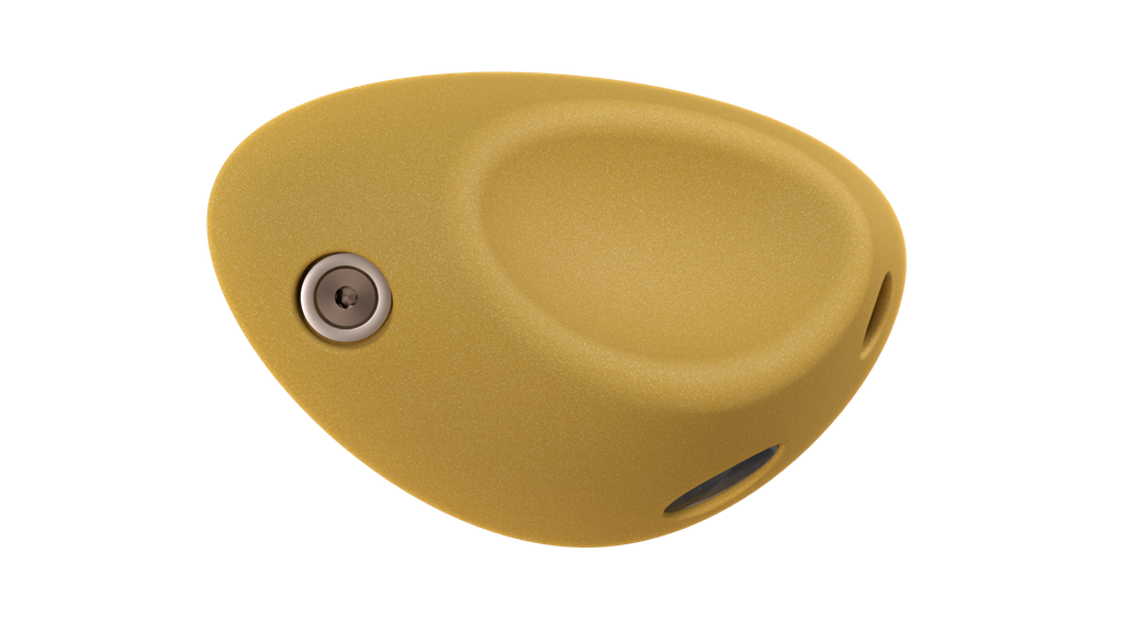 LaRhune_150_yellow.webp