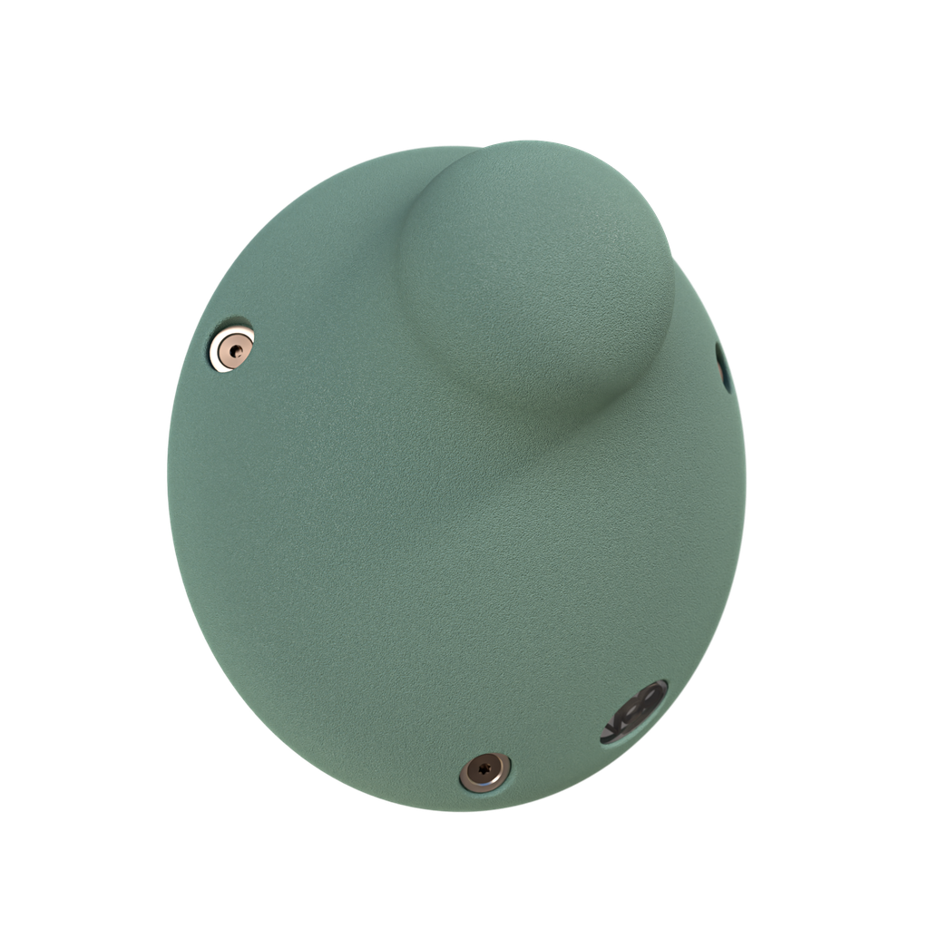 Endron V1