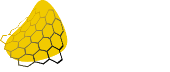 Voo